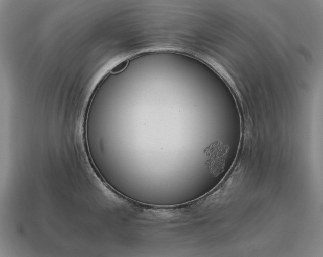 X0000115081197200911101456