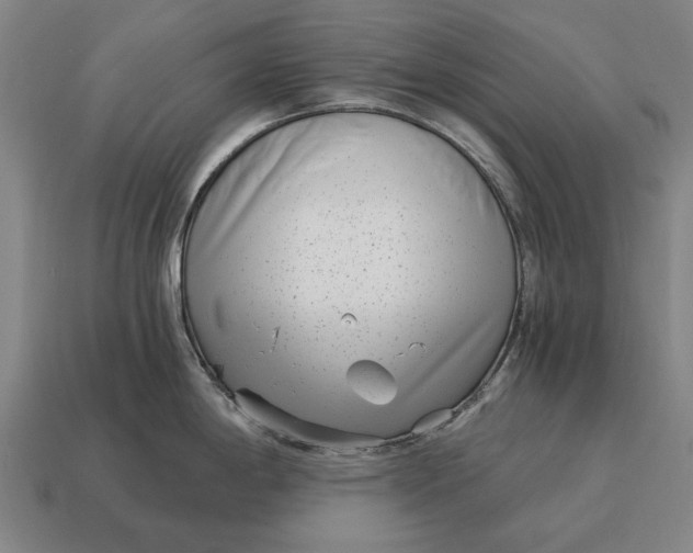 X0000115081198200911101456