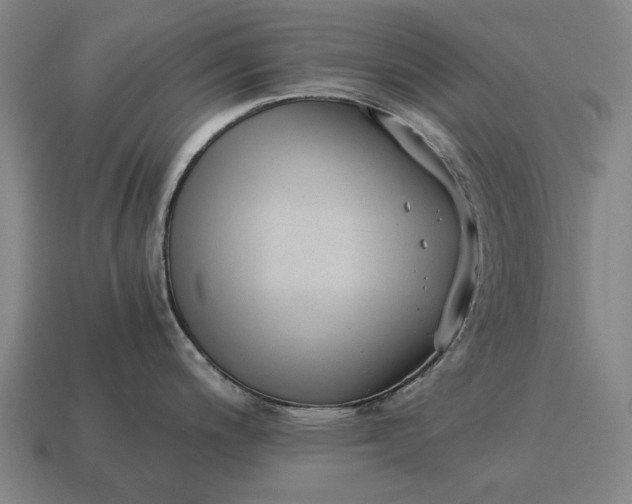 X0000115081200200911101456