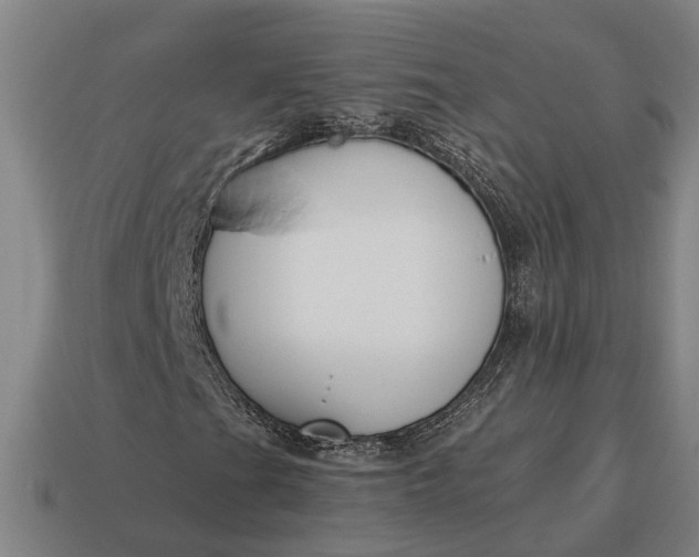 X0000115081201200911101456