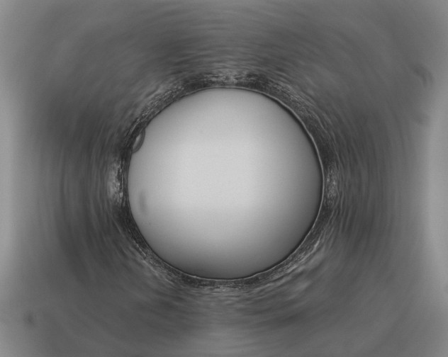 X0000115081202200911101456