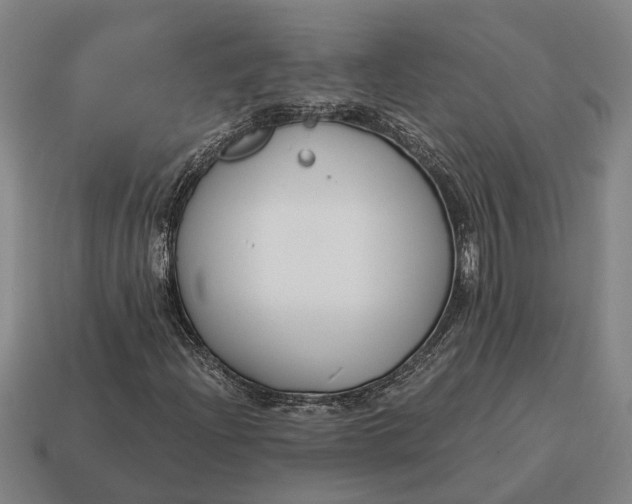 X0000115081204200911101456