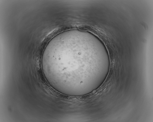 X0000115081205200911101456