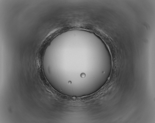 X0000115081206200911101456