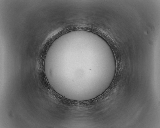 X0000115081207200911101456