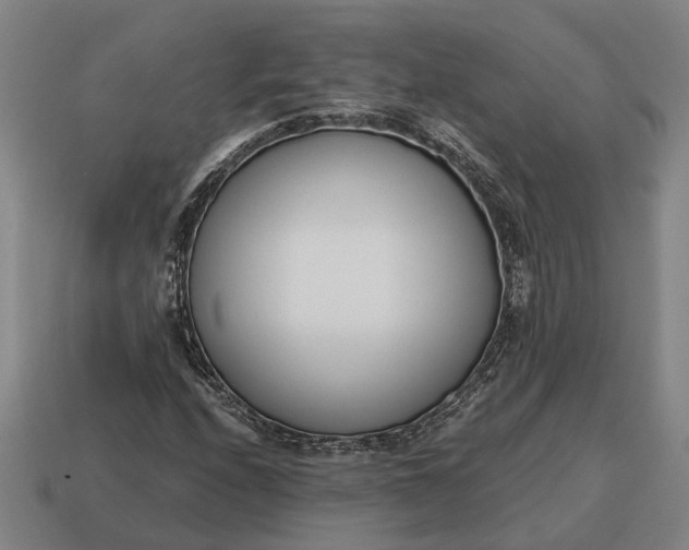 X0000115081208200911101456