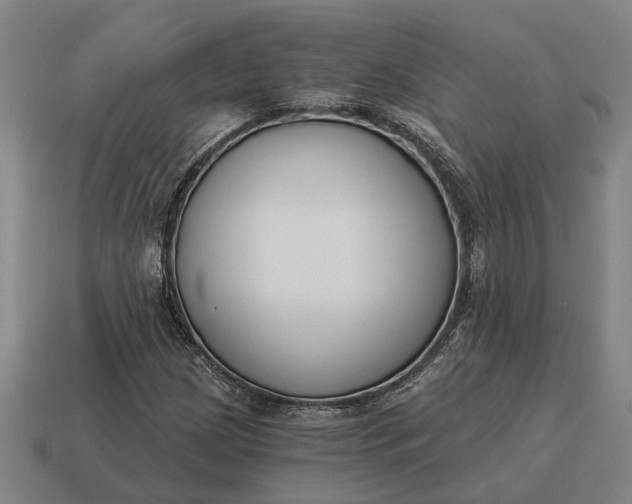 X0000115081209200911101456