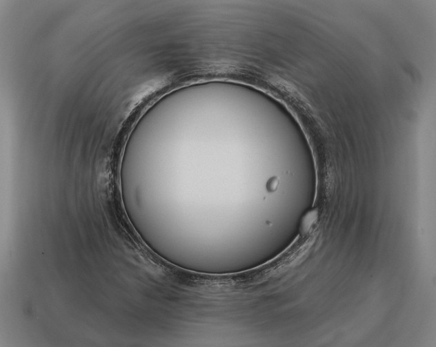 X0000115081210200911101456
