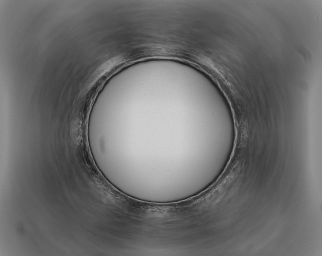 X0000115081211200911101456