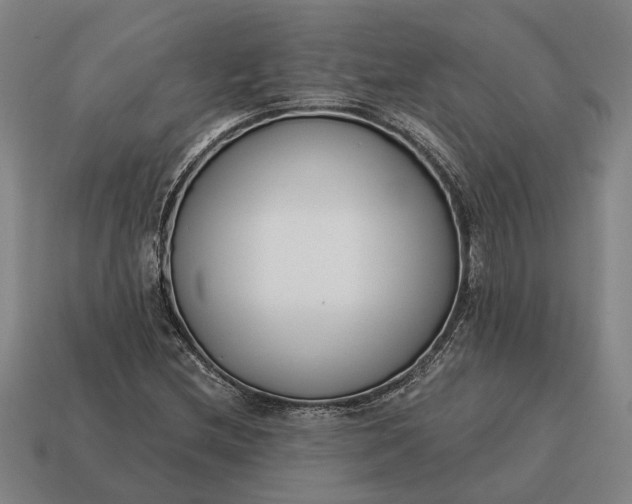 X0000115081212200911101456