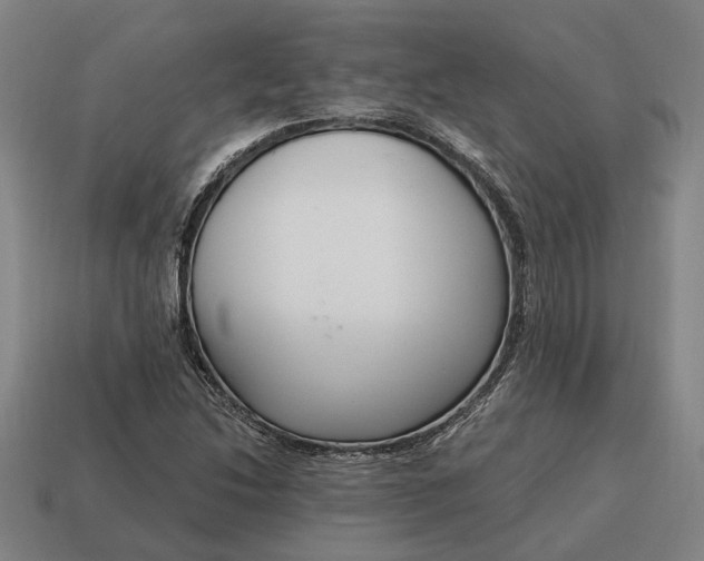 X0000115081214200911101456