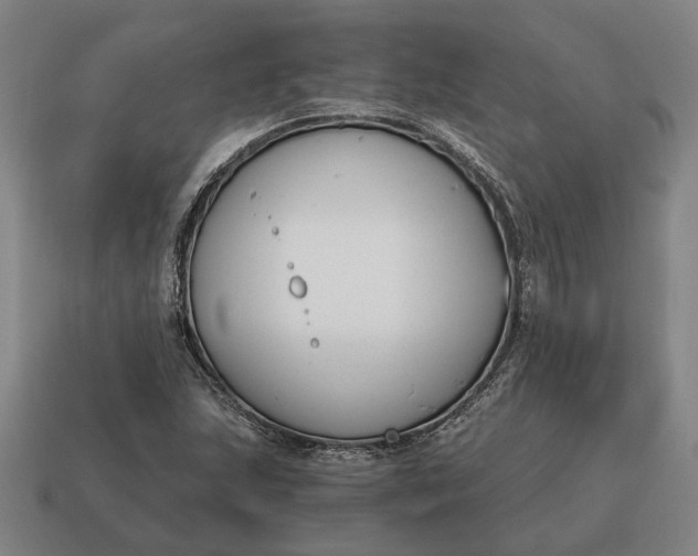 X0000115081215200911101456