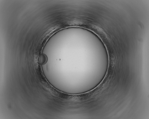 X0000115081217200911101456