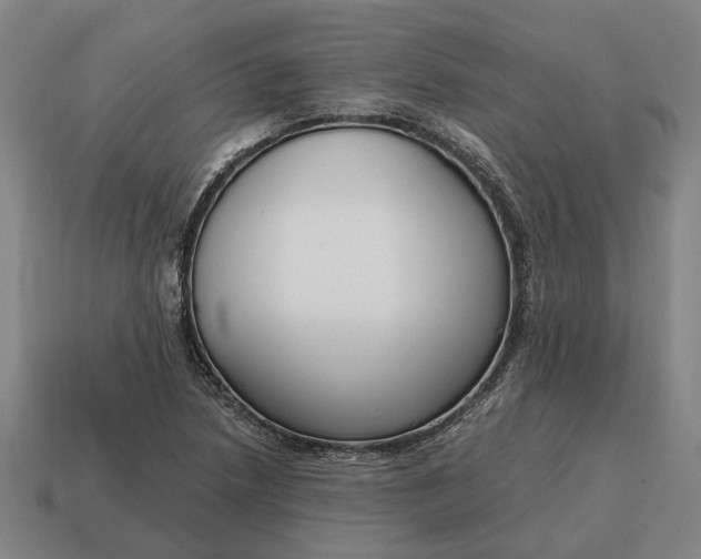 X0000115081218200911101456