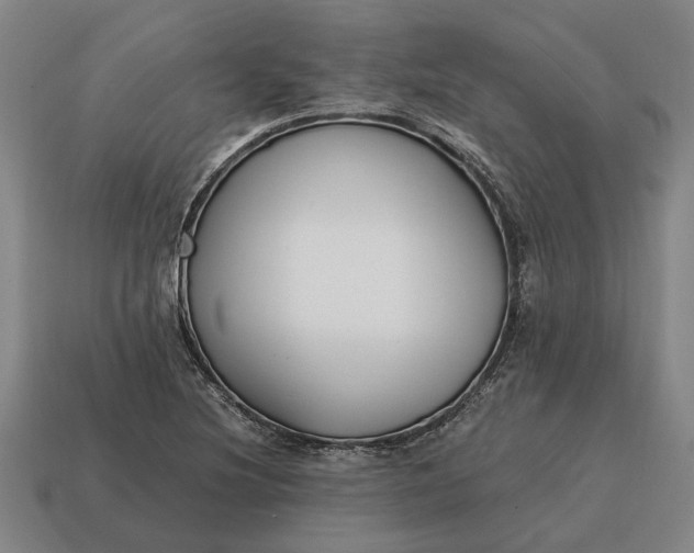 X0000115081220200911101456