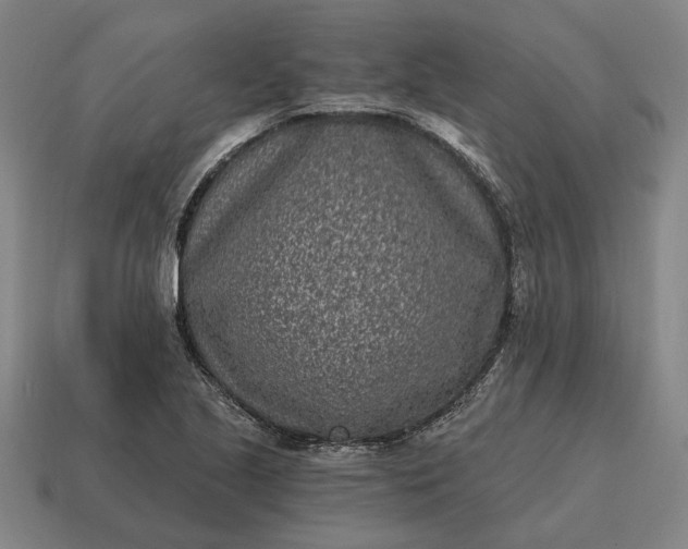 X0000115081221200911101456