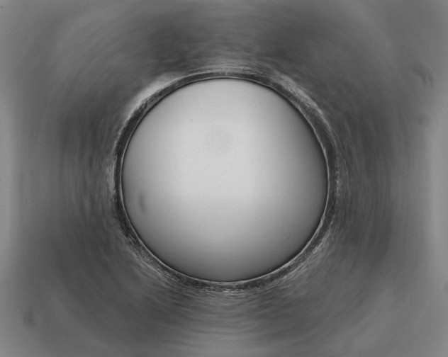 X0000115081222200911101456