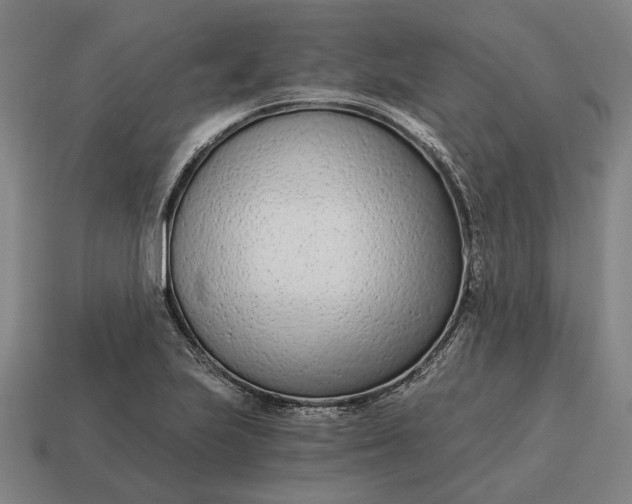 X0000115081223200911101456