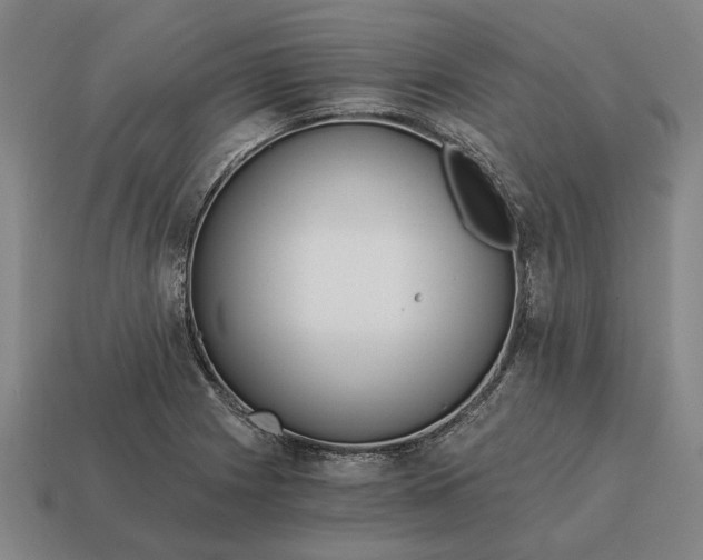 X0000115081225200911101456