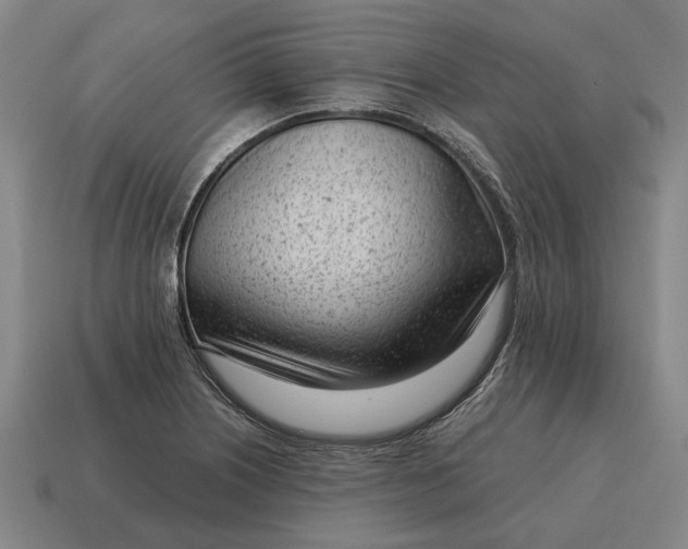 X0000115081226200911101456