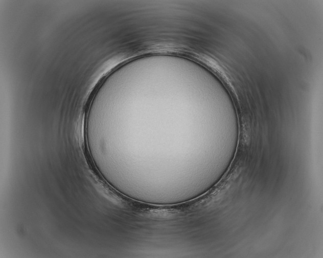 X0000115081227200911101456