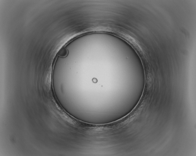 X0000115081228200911101456