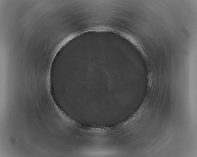 X0000115081229200911101456