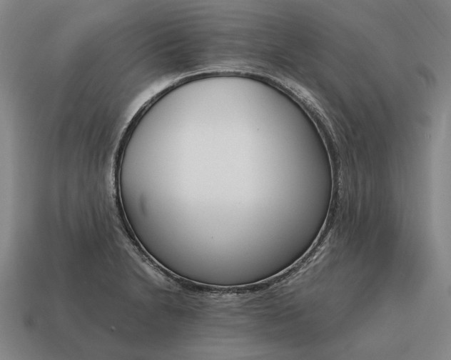 X0000115081230200911101456