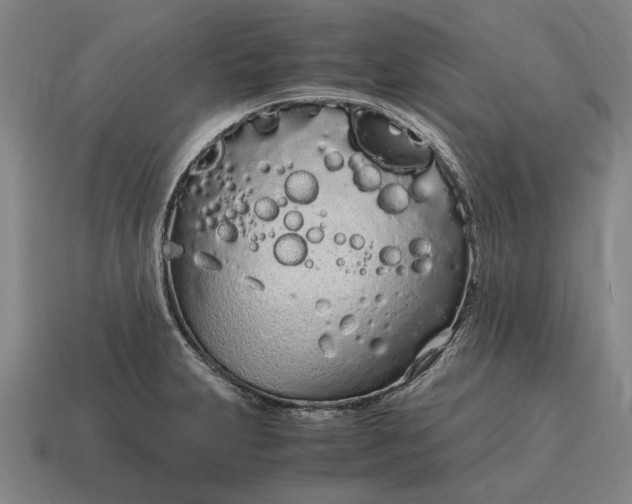 X0000115081231200911101456