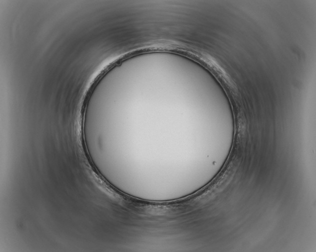 X0000115081232200911101456