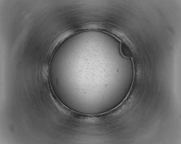 X0000115081233200911101456