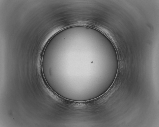 X0000115081235200911101456