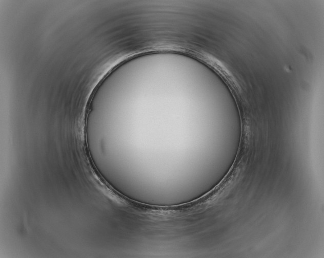 X0000115081236200911101456