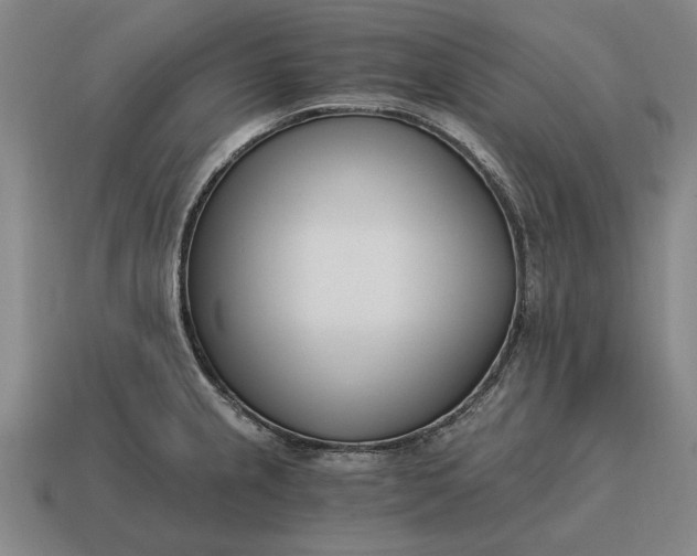X0000115081237200911101456