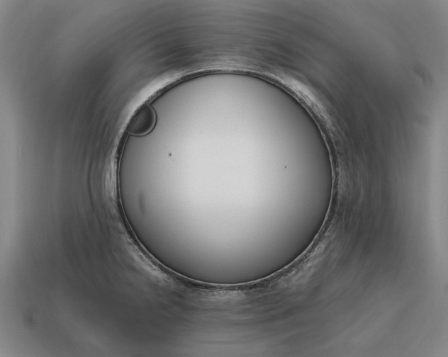 X0000115081238200911101456