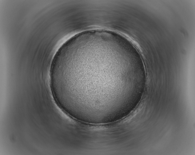 X0000115081239200911101456