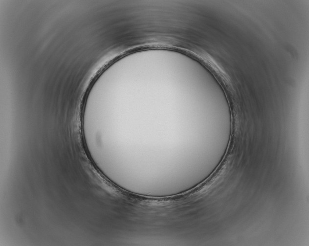 X0000115081240200911101456