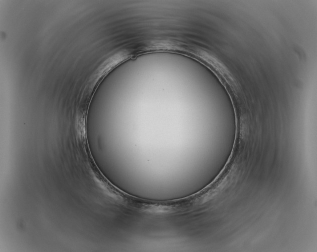 X0000115081241200911101456