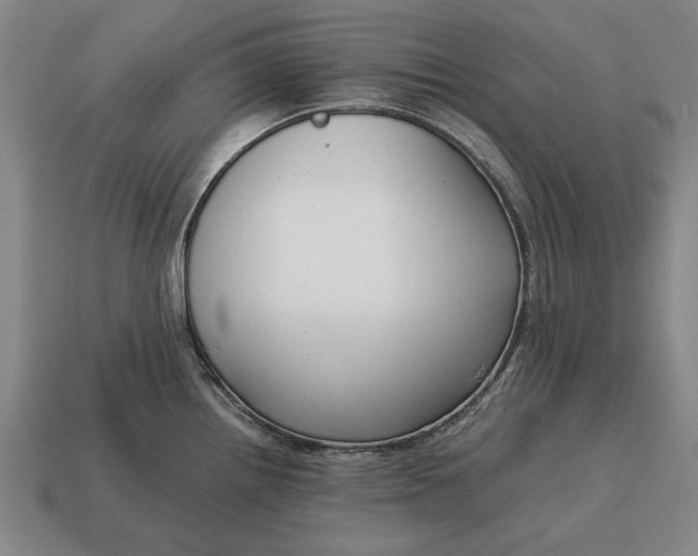 X0000115081242200911101456