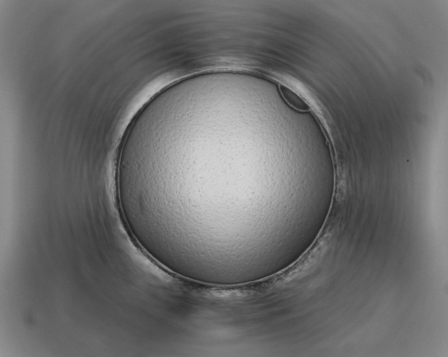 X0000115081243200911101456