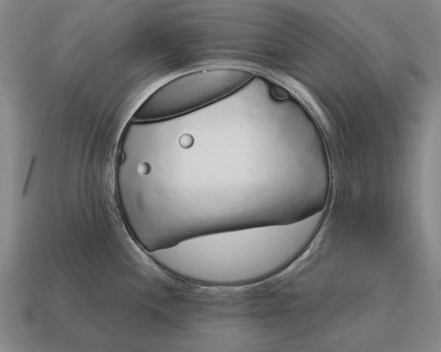X0000115081244200911101456