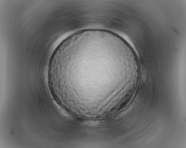 X0000115081245200911101456