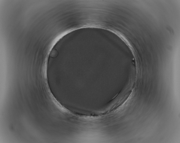 X0000115081246200911101456