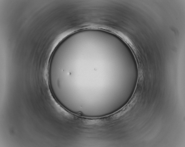 X0000115081247200911101456