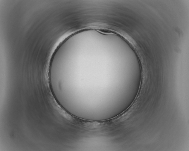 X0000115081248200911101456
