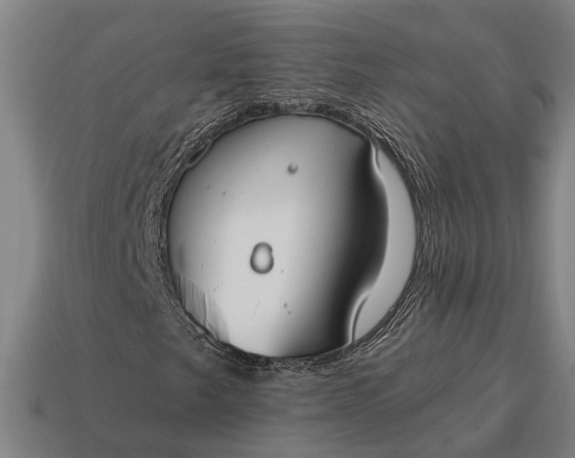 X0000115081249200911101456