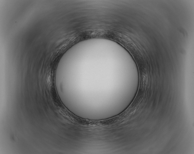 X0000115081250200911101456