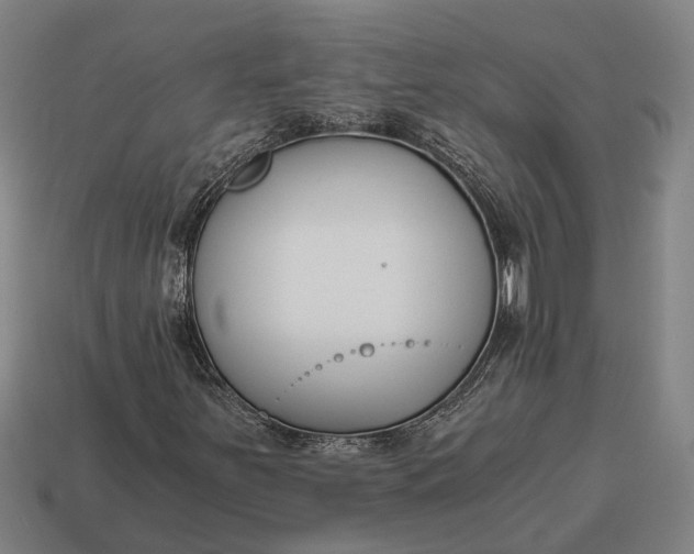 X0000115081251200911101456