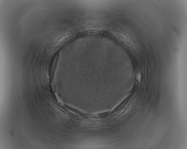 X0000115081252200911101456
