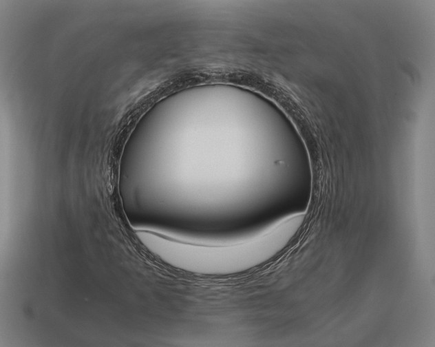 X0000115081253200911101456